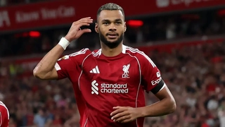 bayern_munich_tiep_can_cody_gakpo_truoc_khi_chieu_mo_luis_diaz-1.jpg